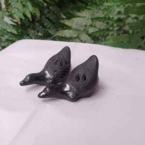 Pato fisgón acostado