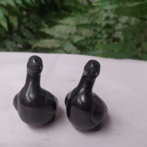 Pato pequeño parado