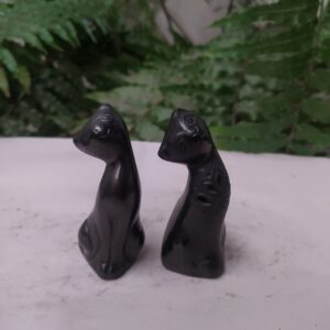 Gato cuello doblado #6