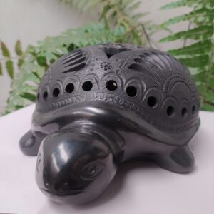 Tortuga grande de caparazon circular