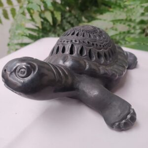 Tortuga mediana de cuello largo