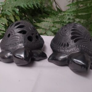 Tortuga mediana de caparazón alta