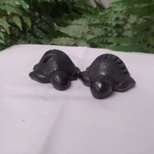 Tortuga pequeña de caparazon alta