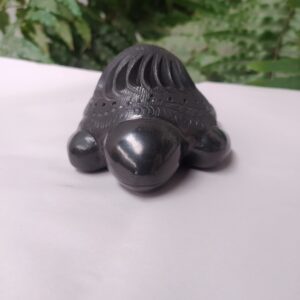 Tortuga mini acostada