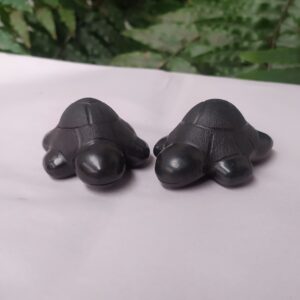 Tortuga mini de caparazón a cuadros