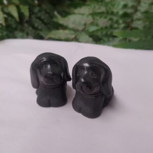 Perrito mini de ojos tristes